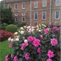 Erddig Nordic Walkers - Wrexham