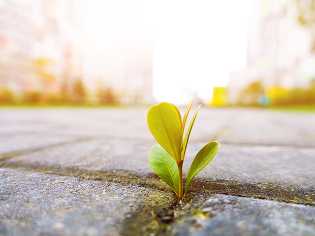 When your caring role ends